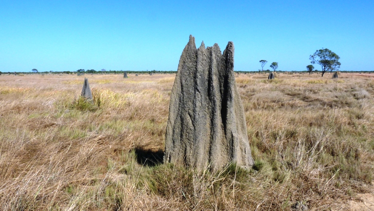 Landschaft in den Nifold Plains